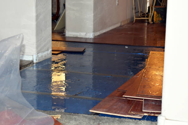 Professional Flood Cleanup technician working in Celeste, TX
